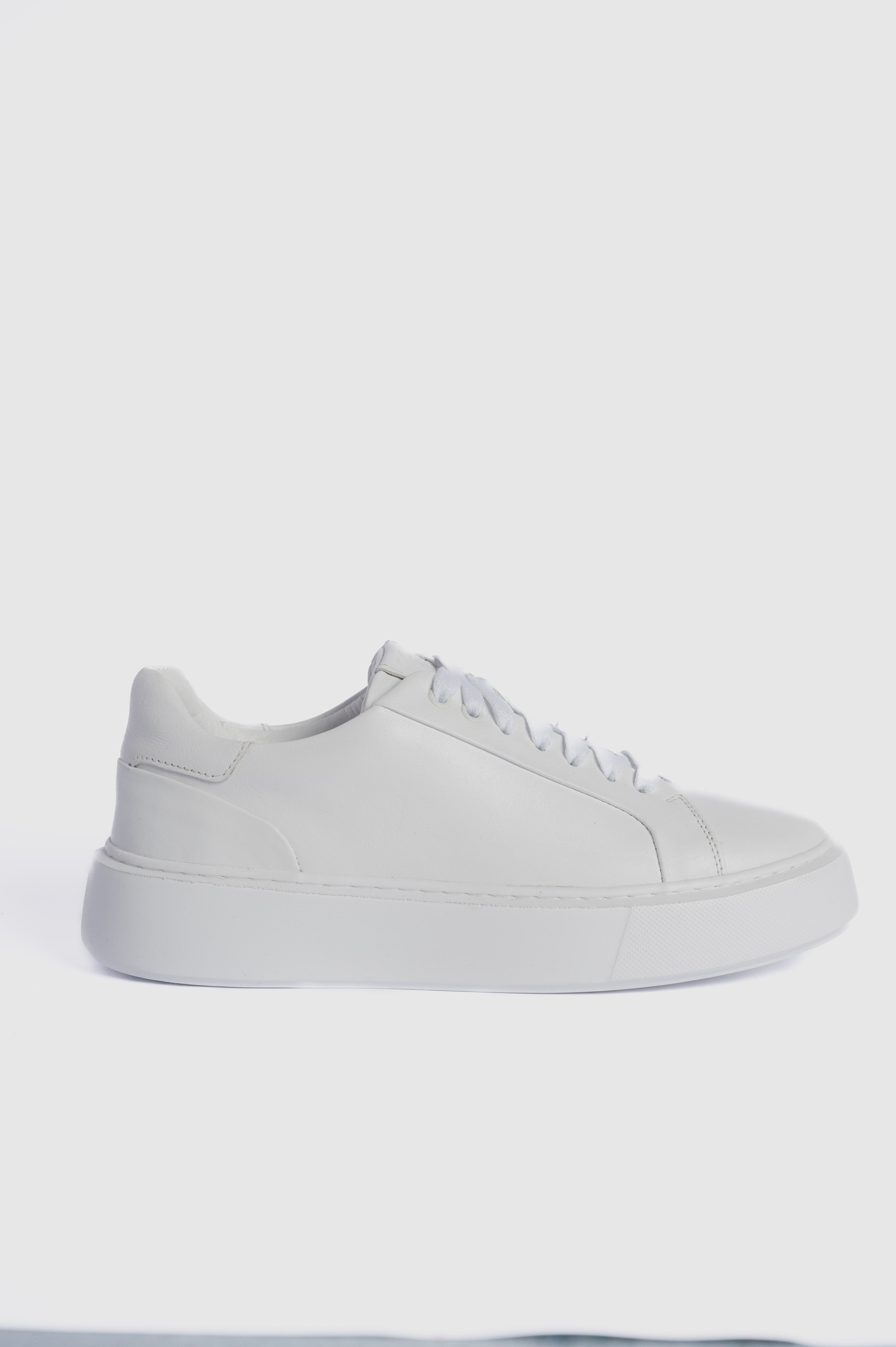 trainers