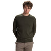 VERDE M.